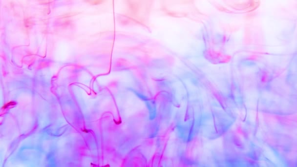 Πανέμορφη εικόνα με πολύχρωμο μελάνι στο νερό, — Αρχείο Βίντεο