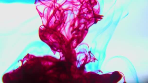 Gorgeous image with multi-colored ink in water, — Video