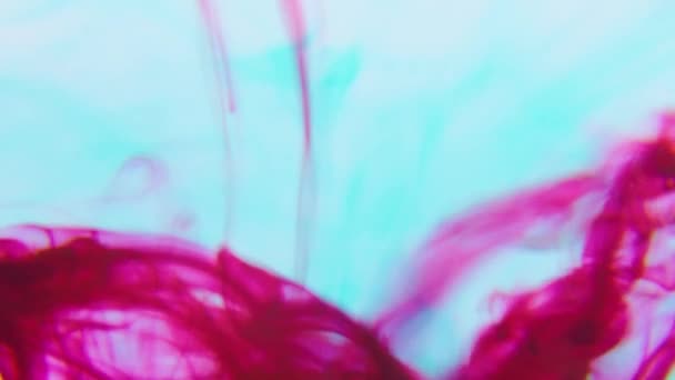 Slow motion ink flow in water. Color paint drops in water — Vídeo de Stock