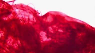 4K footage red Colorful paint spreading in water.