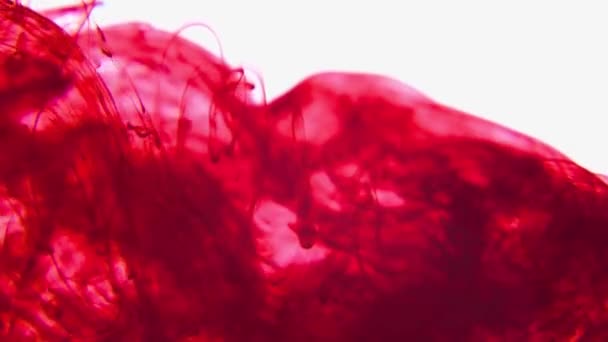 4K footage red Colorful paint spreading in water. — Stockvideo