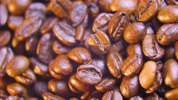 Coffee Beans Falling Pouring Slow Motion Closeup White Background Close — Stock video