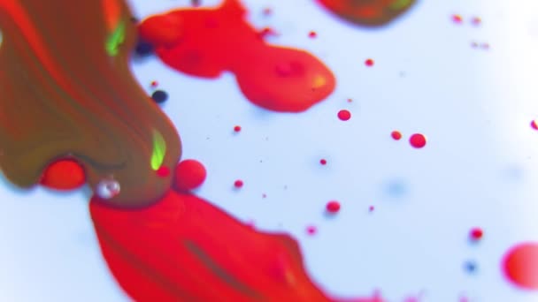 Close up of a Large drops of red paint fall in oil. — Video