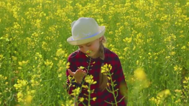 Ragazza con cappello naturalista scienziato esplora la vita vegetale e la vita degli insetti — Video Stock