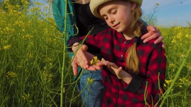모자를 쓴 엄마와 아이의 가까이 다가가서 웃고 있는 유채 작물을 검사한다 — 비디오