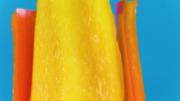 Close up cut the sweet pepper. — Stock Video