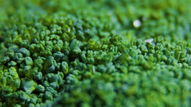Close up Verdes verduras frescas de brócoli girando — Vídeo de stock