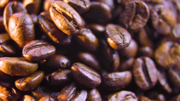 Coffee Beans Falling Pouring Slow Motion Closeup White Background Close — Video