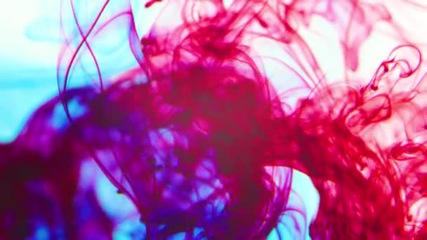 Färg Droppar Vatten Abstrakt Färgmix Kan Användas Som Övergångar Added — Stockvideo