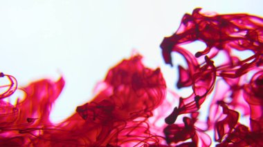 Renkler sıvıya döküldü, mürekkep suyun içinde döndü. Sudaki renkli mürekkebe mürekkep damlayan mürekkep rengi, 4K görüntü, kırmızı mavi turuncu sarı. beyaz arkaplan