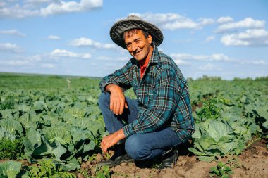 60 yaşındaki Hintli çiftçi, hasadından memnun, sebze tarlasında şapkasını takıyor ve mavi gökyüzü arka planındaki lahana tarlasında kameraya bakıyor. 