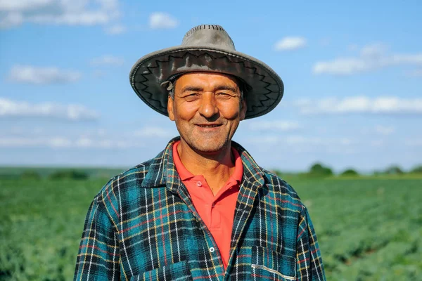 一个身穿格子呢衬衫头戴帽子的男农民的画像对农田很满意 在美丽的一天工作之后 老农看着相机的慢动作肖像 — 图库照片