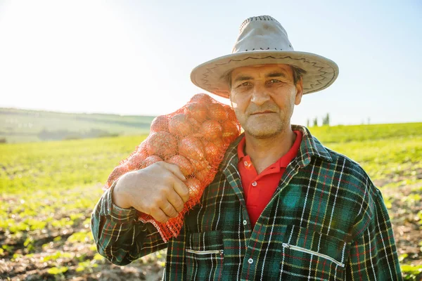 looking into the camera. the asian farmer with the hat on his head holds the freshly picked onion on his shoulder. Cheerful mature farmer harvesting this year and looking at the camera.
