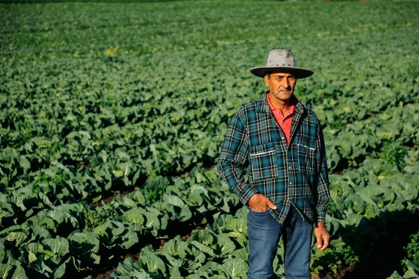 Front View Farmer Sitting Vegetable Field His Arms Crossed Old — Stock Photo, Image