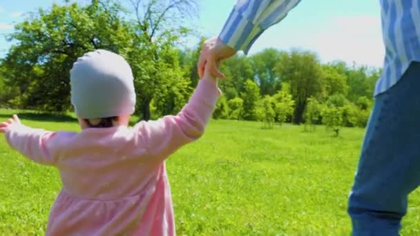Anya Gyermekkor Anya Kislánnyal Gyerek Kézen Fogva Sétál Nyári Parkban — Stock videók