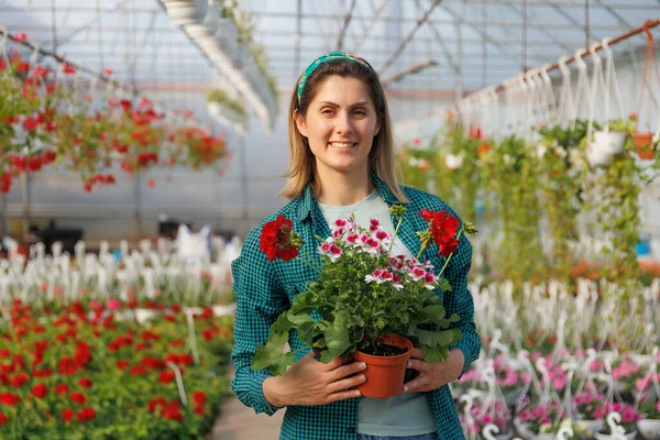Elinde çiçek saksısı olan hoş bir Amerikalı kadın kameraya bakıyor. Gülümseyen kadın çiçekçi serada çiçek satıyor.