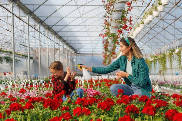 Madre Mojando Hija Divirtiéndose Mientras Trabajaba Invernadero Familia Feliz Floricultores —  Fotos de Stock