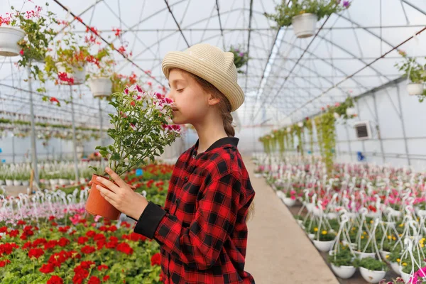 gardening, in the greenhouse kid with hat and potted plant red flower in the hands. pleasant smile. horticulture. gardening activity for kid. happy preteen girl florist in glasshouse. Copy space