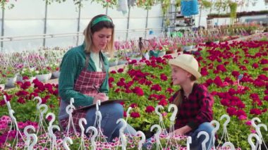 Çiçekçi kadınla birlikte serada çalışan çocuk elinde defterle büyüyen çiçekleri inceliyor. Aile portresi Küçük İş Çiçeği, kopyalama alanı