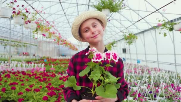 彼の手に花の鍋を保持子供が興奮してカメラを見て 女の子は部屋の緑の植物の世話をします 家庭菜園 家庭教育 植物やケアの愛 — ストック動画