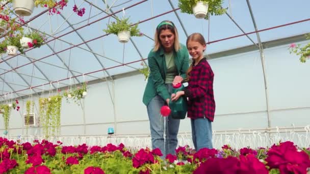 母親の花屋と彼女の小さな娘は 夏に庭の散水植物や花で一緒に働いています 植物に水をやる 小さな女の子は花屋がいくつかの花に水をやる — ストック動画
