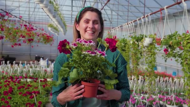 赤い花器を持ってカメラを見ている間に温室で働いているエプロンを持つ幸せな花屋の女性 花の箱と成熟した女性の花屋の肖像画 コピースペース — ストック動画