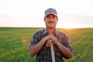 Bıyıklı yakışıklı yaşlı çiftçi kameraya bakıyor, erkek gün batımında dinleniyor. Tarımsal alanda çalışan işçinin portresi.