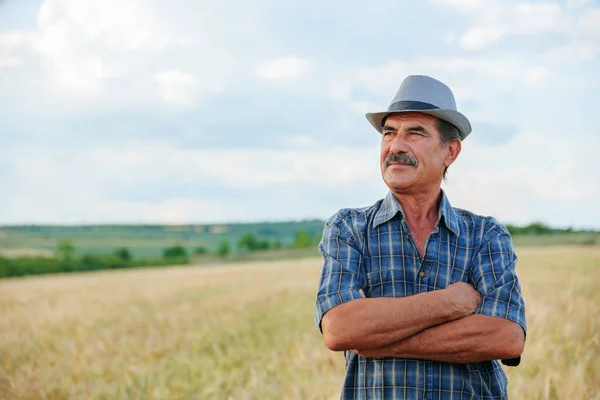 Kollarını kavuşturmuş Hintli kıdemli çiftçinin kafasında bir şapka var ve buğday tarlasında, gökyüzüne karşı. Erkek çiftçi, işçi tarlada buğday hasadıyla poz veriyor. Boşluğu kopyala