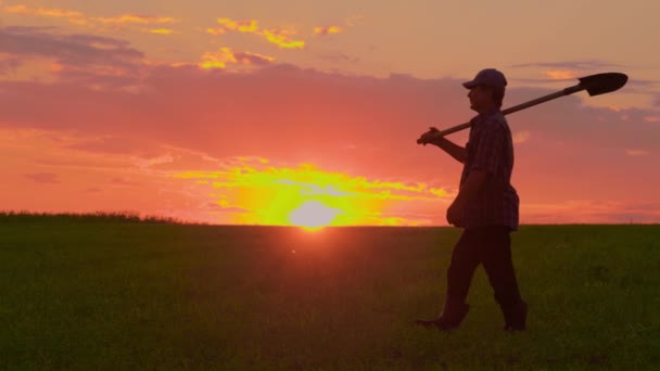 Σιλουέτα Του Ανθρώπου Φτυάρι Που Περπατάει Στο Χωράφι Ηλιοβασίλεμα Εργαζόμενος — Αρχείο Βίντεο