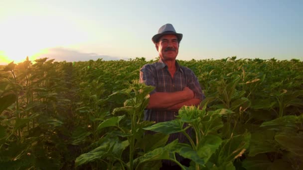 Agricultor Indiano Sênior Com Braços Cruzados Tem Chapéu Sua Cabeça — Vídeo de Stock