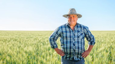 Yaz günü tarlada buğday kulaklarıyla dikilirken kameraya bakan neşeli kıdemli erkek işçi. Yeşil tarladaki yaşlı çiftçi, kopyalama alanı