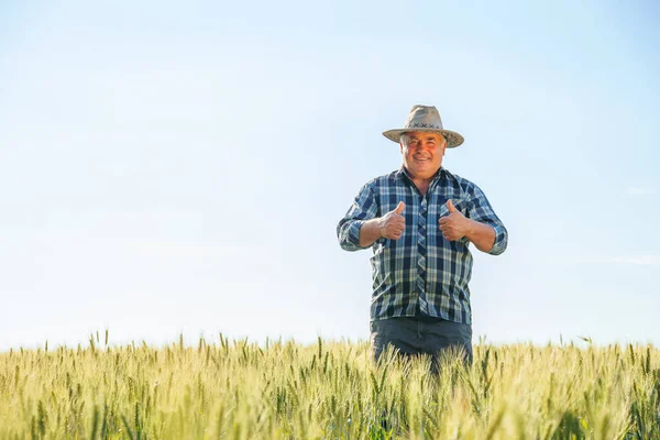 Usmívající Starší Farmář Dívající Kamery Ukazující Palce Nahoru Zatímco Létě — Stock fotografie