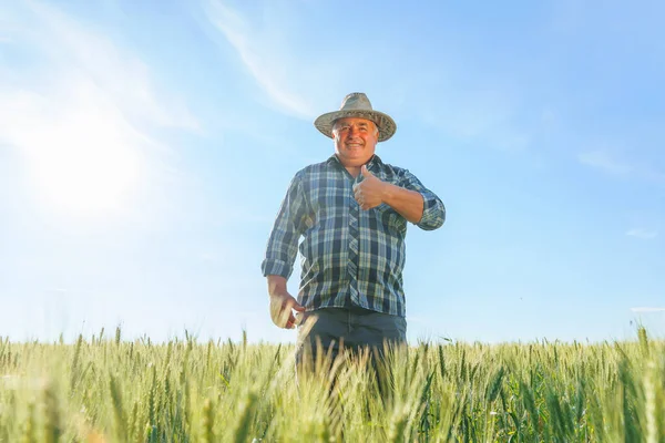 Delighted Mature Male Worker Looking Camera Thumb Gesture While Standing — 图库照片