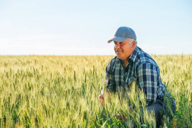 Yaşlı erkek çiftçi yaz günü tarla tarlalarında otururken dalgın bir suratla uzaklardan bakıyor. Olgun işçi tarlada oturuyor