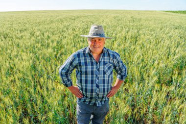 İyimser yaşlı çiftçi yaz günü kırsal kesimde yeşil bitkilerle tarım çiftliğinde dikilirken kameraya bakıyor.