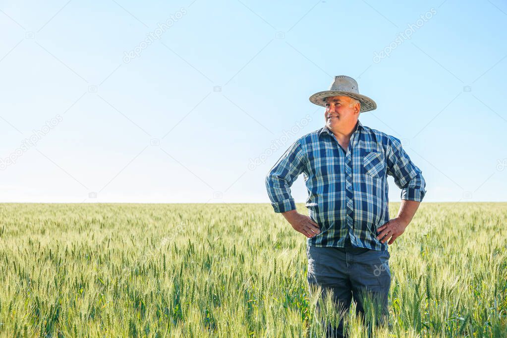 Content senior male worker looking away with curiosity while standing in green field with plants in countryside on summer day. Wistful farmer standing in field