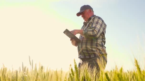 Low Angle Professional Male Farmer Checkered Shirt Cap Browsing Data — ストック動画