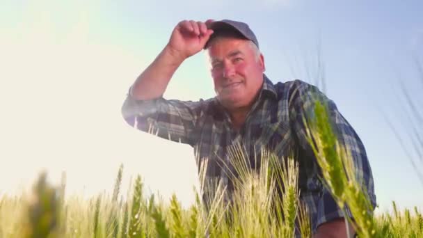 Low Angle Aged Man Checkered Shirt Adjusting Cap Smiling Looking — Vídeo de Stock