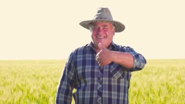 Kareli gömlekli ve şapkalı mutlu yaşlı adam başparmak kaldırıyor ve yazın buğday tarlasında çalışırken dostça gülümseyerek kameraya bakıyor. Dost canlısı kıdemli çiftçi tarımı onaylıyor