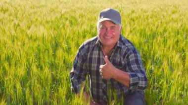From above happy senior man in checkered shirt and hat showing approving gesture and looking at camera with smile while sitting amidst cereal crops in sunlit field