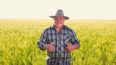 Kareli gömlekli ve şapkalı mutlu yaşlı adam başparmak kaldırıyor ve yazın buğday tarlasında çalışırken dostça gülümseyerek kameraya bakıyor. Dost canlısı kıdemli çiftçi tarımı onaylıyor