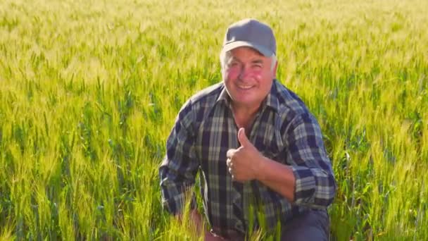 Happy Senior Man Checkered Shirt Hat Showing Approving Gesture Looking — Stok video