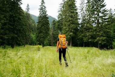 İnsan 'ın sarı sırt çantalı, gezici yaşam tarzı başarı konsepti açık havada maceraya atılma görüntüsü. Genç erkek sabah ormanda patika boyunca yürüyüş yapıyor.