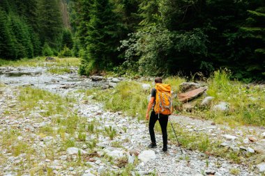 Sırt çantalı genç bir turistin nehir kenarındaki ormanın arka görüntüsü. Genç adam, turist teçhizatı ile donatılmış yürüyüş, yaşam tarzı. etkin yaşam modu, etkin dinlenme