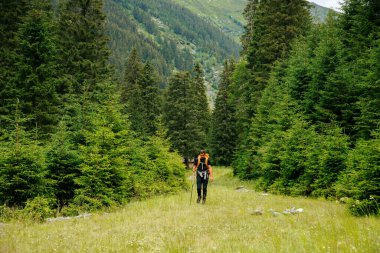 Kafkas asıllı Amerikalı bir adamın kırsal kesimde yürüyüş yaparken görüntüsü. Erkek turist, aktif hayat tarzı macera seyahatleri, gün batımı.