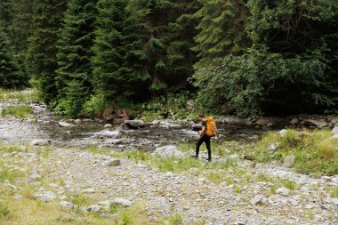 Sırt çantalı genç bir turistin nehir kenarındaki ormanın arka görüntüsü. Genç adam, turist teçhizatı ile donatılmış yürüyüş, yaşam tarzı. etkin yaşam modu, etkin dinlenme