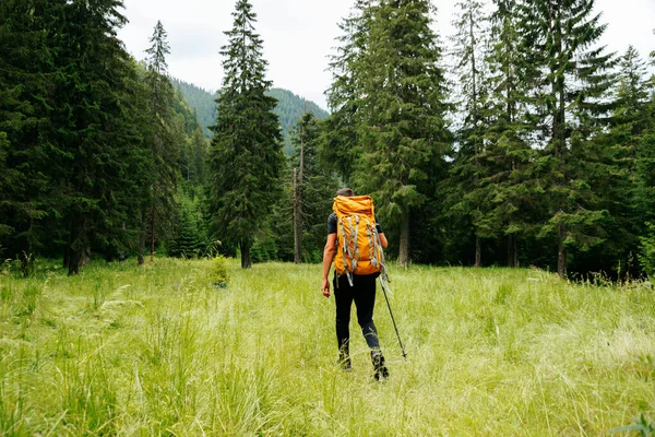 İnsan 'ın sarı sırt çantalı, gezici yaşam tarzı başarı konsepti açık havada maceraya atılma görüntüsü. Genç erkek sabah ormanda patika boyunca yürüyüş yapıyor.