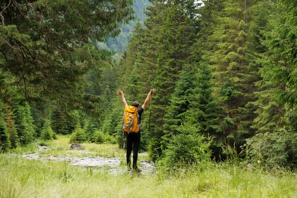 rear view of a Man solo traveling backpacker hiking, active healthy lifestyle adventure journey vacations. Hiker young man with backpack and trekking poles standing on edge and looking in summer