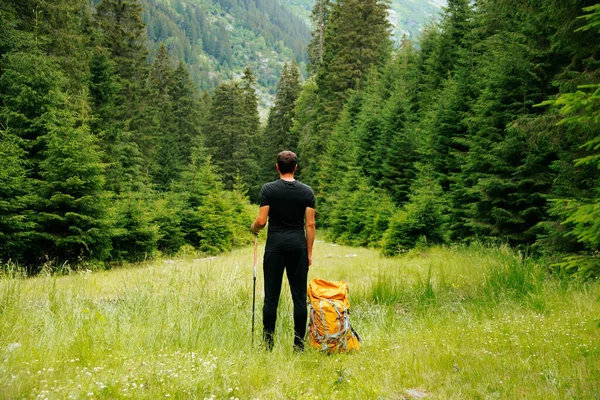 Tek başına gezen, sırt çantasıyla gezen, aktif, sağlıklı yaşam tarzı macera seyahatleri yapan bir adamın arka görüntüsü. Sırt çantası ve yürüyüş direkleri olan yürüyüşçü genç adam... Yazın gergin ve bakıyor... 