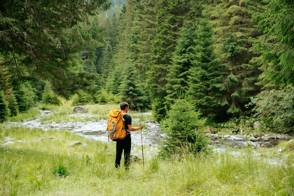 rear view of a Man solo traveling backpacker hiking, active healthy lifestyle adventure journey vacations. Hiker young man with backpack and trekking poles standing on edge and looking in summer